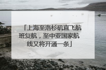 上海至洛杉矶直飞航班复航，至中亚国家航线又将开通一条