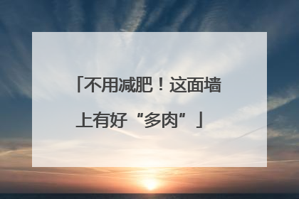 不用减肥！这面墙上有好“多肉”