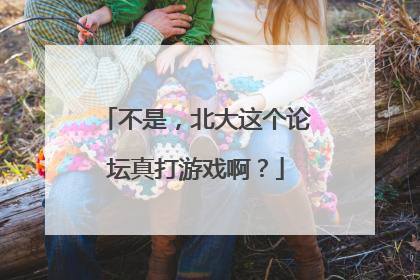 不是，北大这个论坛真打游戏啊？