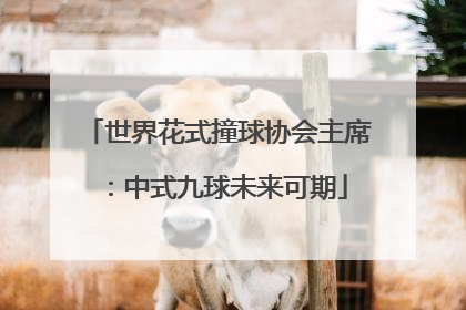 世界花式撞球协会主席：中式九球未来可期