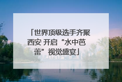 世界顶级选手齐聚西安 开启“水中芭蕾”视觉盛宴