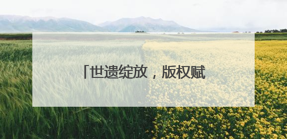 世遗绽放，版权赋能！深圳文博会上 泉州鲤城亮点纷呈