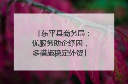 东平县商务局：优服务助企纾困，多措施稳定外贸