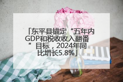 东平县锚定“五年内GDP和税收收入翻番”目标，2024年同比增长5.8%