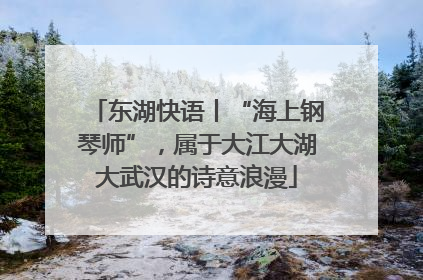 东湖快语丨“海上钢琴师”，属于大江大湖大武汉的诗意浪漫