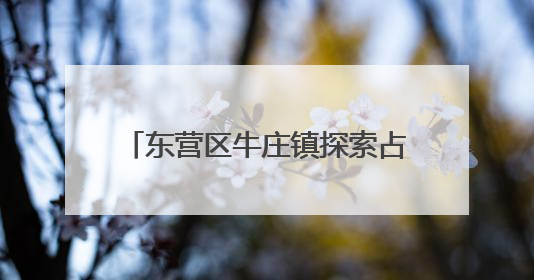 东营区牛庄镇探索占道晒粮治理新路径