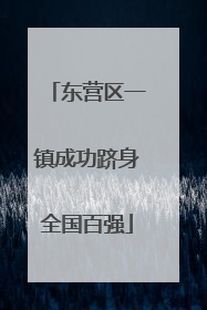 东营区一镇成功跻身全国百强