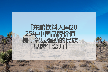 东鹏饮料入围2025年中国品牌价值榜，彰显强劲的民族品牌生命力