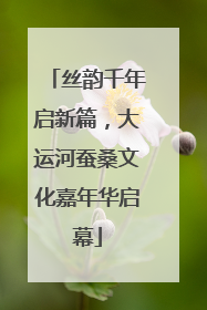 丝韵千年启新篇，大运河蚕桑文化嘉年华启幕
