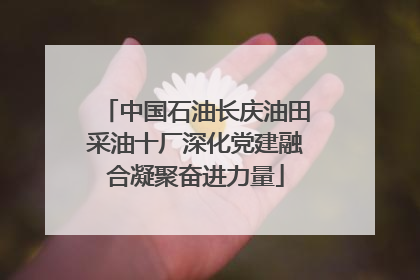 中国石油长庆油田采油十厂深化党建融合凝聚奋进力量