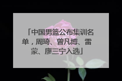 中国男篮公布集训名单，周琦、曾凡博、雷蒙、廖三宁入选