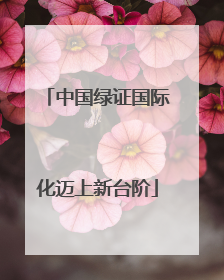 中国绿证国际化迈上新台阶