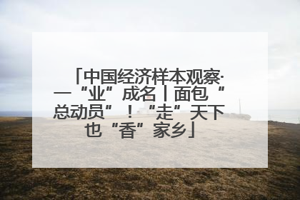 中国经济样本观察·一“业”成名丨面包“总动员”！“走”天下也“香”家乡