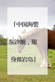 中国海警东沙舰，现身黄岩岛