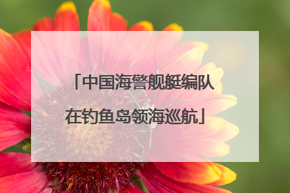 中国海警舰艇编队在钓鱼岛领海巡航