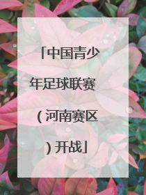 中国青少年足球联赛（河南赛区）开战