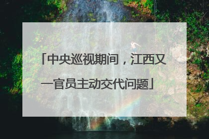 中央巡视期间，江西又一官员主动交代问题