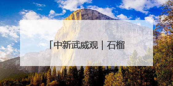 中新武威观｜石榴同心 筑梦凉州