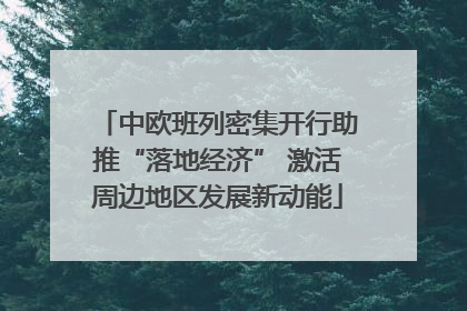 中欧班列密集开行助推“落地经济” 激活周边地区发展新动能