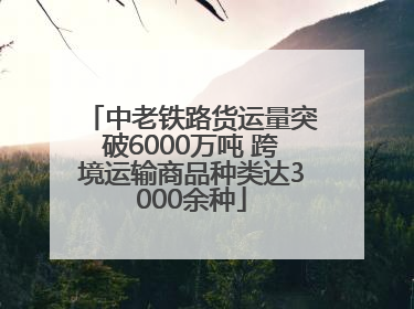 中老铁路货运量突破6000万吨 跨境运输商品种类达3000余种