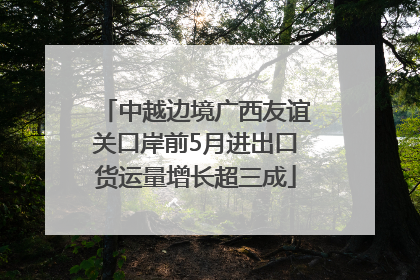 中越边境广西友谊关口岸前5月进出口货运量增长超三成