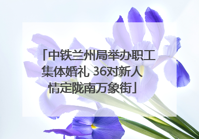 中铁兰州局举办职工集体婚礼 36对新人情定陇南万象街