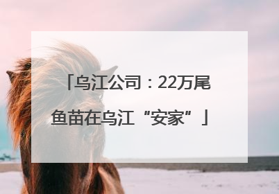 乌江公司：22万尾鱼苗在乌江“安家”