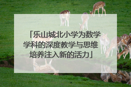 乐山城北小学为数学学科的深度教学与思维培养注入新的活力
