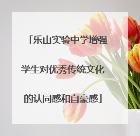 乐山实验中学增强学生对优秀传统文化的认同感和自豪感