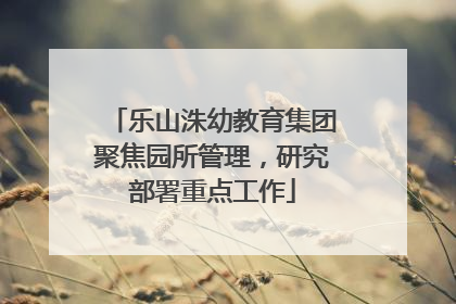乐山洙幼教育集团聚焦园所管理，研究部署重点工作