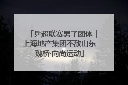 乒超联赛男子团体｜上海地产集团不敌山东魏桥·向尚运动