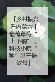 乡村振兴看内蒙古｜葡萄草莓“上下铺”，科技小院“种”出三倍效益