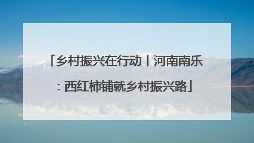 乡村振兴在行动丨河南南乐：西红柿铺就乡村振兴路