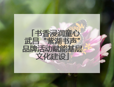 书香浸润童心 武昌“紫湖书声”品牌活动赋能基层文化建设