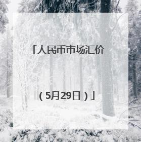 人民币市场汇价（5月29日）