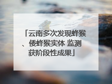 云南多次发现蜂猴、倭蜂猴实体 监测获阶段性成果