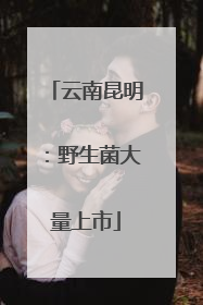 云南昆明：野生菌大量上市