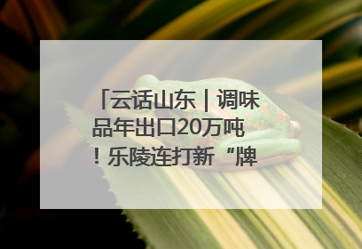 云话山东｜调味品年出口20万吨！乐陵连打新“牌”助力企业出海