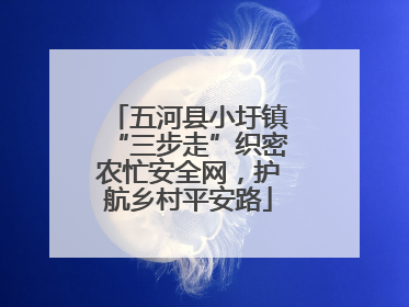 五河县小圩镇“三步走”织密农忙安全网，护航乡村平安路