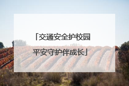 交通安全护校园 平安守护伴成长