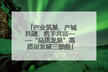 产业筑基、产城共融、携手共富——“品质龙泉”高质量发展三部曲