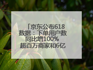 京东公布618数据：下单用户数同比增100% 超百万商家和6亿消费者受益AI