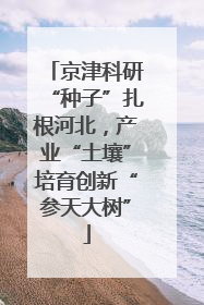 京津科研“种子”扎根河北，产业“土壤”培育创新“参天大树”