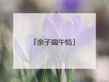 亲子端午情