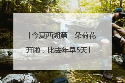 今夏西湖第一朵荷花开啦，比去年早5天