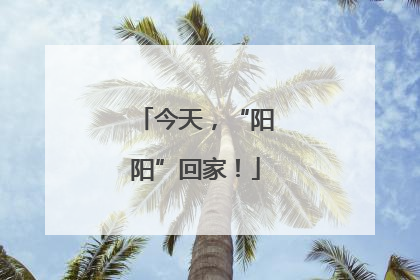 今天，“阳阳”回家！