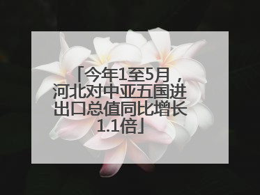 今年1至5月，河北对中亚五国进出口总值同比增长1.1倍