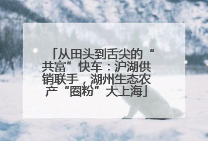 从田头到舌尖的“共富”快车：沪湖供销联手，湖州生态农产“圈粉”大上海