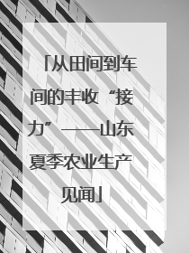 从田间到车间的丰收“接力”——山东夏季农业生产见闻