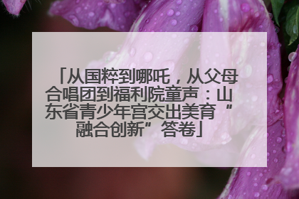 从国粹到哪吒，从父母合唱团到福利院童声：山东省青少年宫交出美育“融合创新”答卷